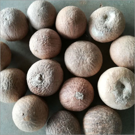 Natural Raw Dried Betel Nuts
