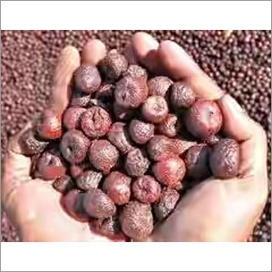 Natural Betal Nut