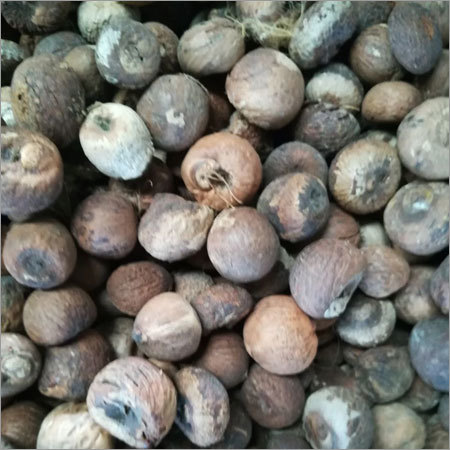 Dried Betal Nut
