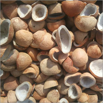 Dry Coconuts