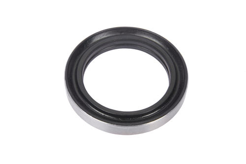 Brake Cam Oil Seal Set of 2 Pcs. (TVS)