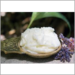 Fresh Cream