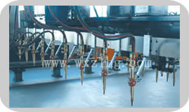 Blue Plate Cutting Machine