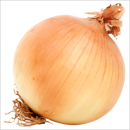 Fresh Brown Onion Fresh Brown Onion