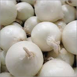 Fresh White Onion Fresh White Onion