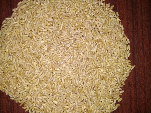 Wheat grain