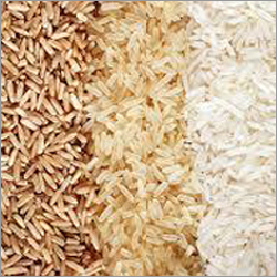 Fresh Rice