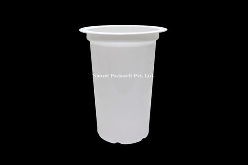 Transparent Plastic Glass