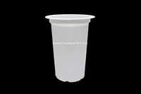 Transparent Plastic Glass