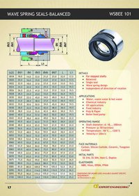 Wave Spring Seals Balanced