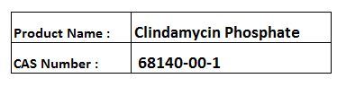 Clindamycin Phosphate
