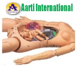 Advanced Delivery And Maternal Simulator Age Group: Children