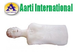 Skin Half Body Cpr Training Model (Male)