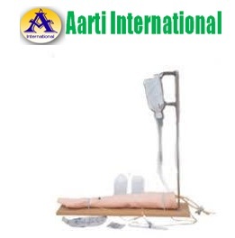 White And Skin Injectable Training Arm Model