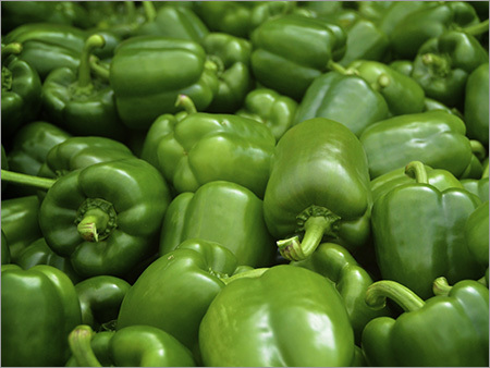 Green Capsicum - Medium Size, Bell-Shaped, Glossy Green | Nutritious, Crunchy, Antioxidant-Rich, Anti-Inflammatory