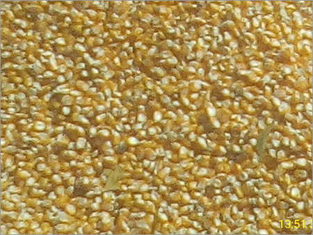 Yellow Maize