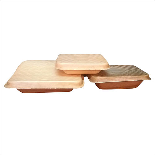 Natural Arecanut Leaf Plates