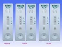 Malarial test kit