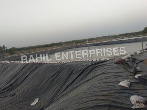 Pee Lining In Gujarat