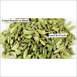 Fennel
