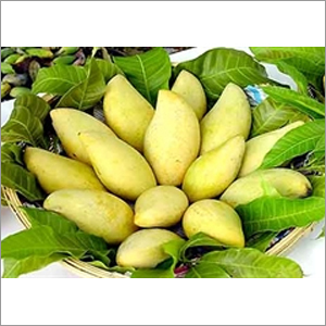Fresh Mango
