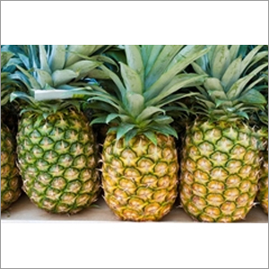 Fresh Pineapple