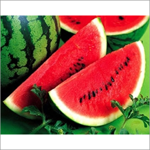 Fresh Water Melon