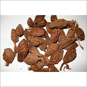 Black Cardamom