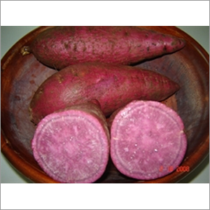 Fresh Sweet Potato