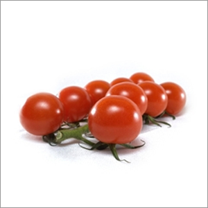 Fresh Tomatoes