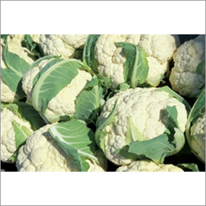 Fresh Cauliflower