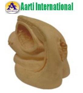 Skin Advanced Female Internal & External Organs