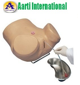 Skin Female Catheterization Training Simulator