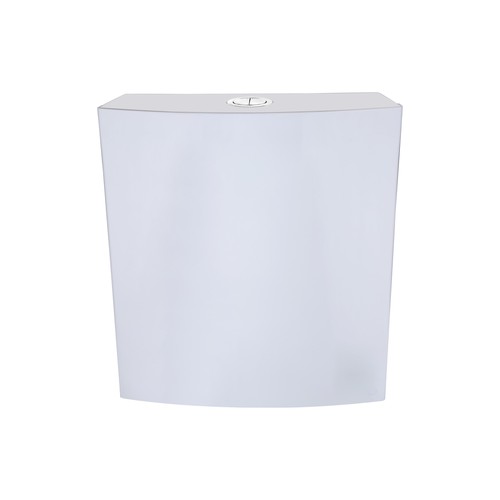 Sleek Wall Hung Dual Flushing Cistern