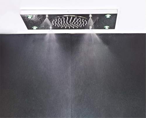 Ceiling Shower