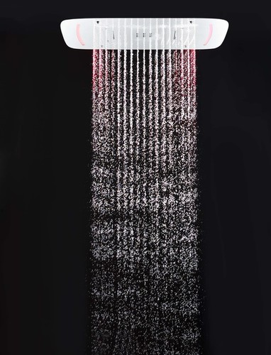 Ceiling Shower (8280)