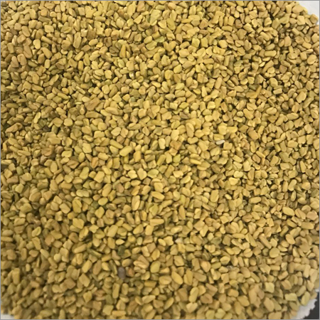 Fenugreek Seeds (Methi Dana)