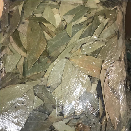 Bay Leaves (Tamalpatta)