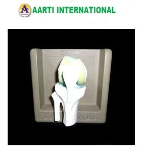 White Knee Anatomical Model