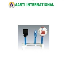 Blue And White Functional Eye Model