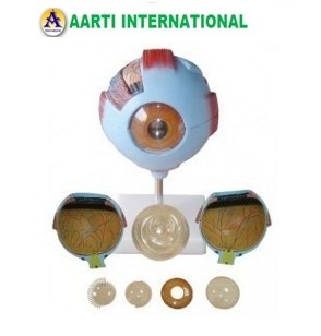 Blue Giant Eye Model