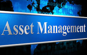 Asset Management Services