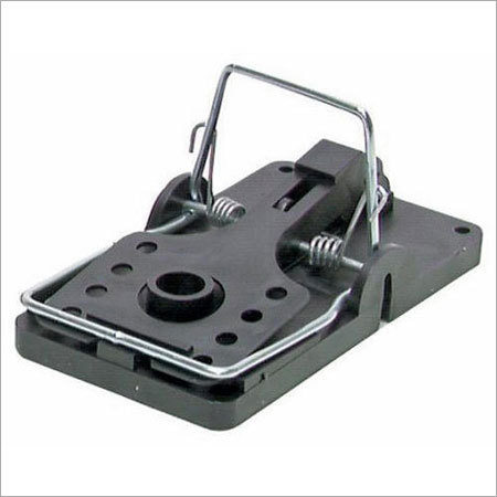 Mouse Trap
