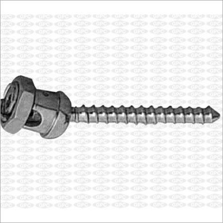 Poly Axial Screw