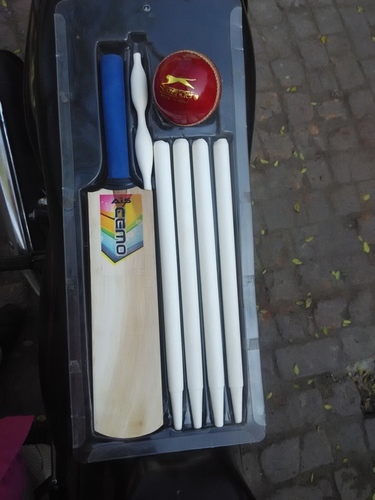 Indoor Mini Cricket Set