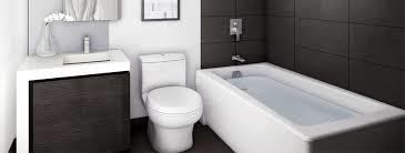 Toilet Maintenance