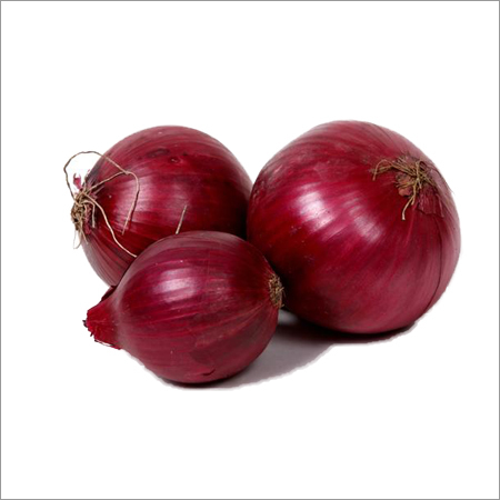 Fresh Red Onion