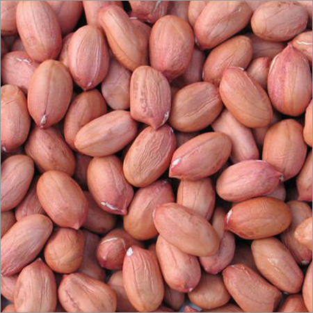 Groundnut Kernels