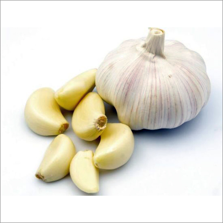 Fresh Garlic