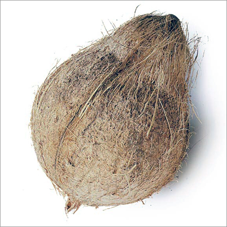 Fresh Coconut